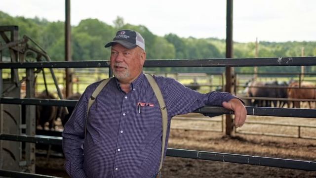 Тест на стельность Alertys смотреть онлайн