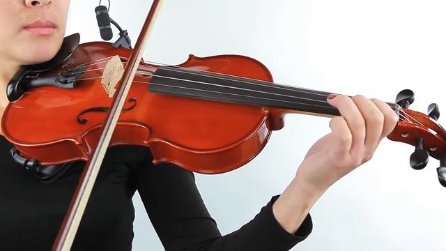 GEWA Allegro Beginner Violin Outfit смотреть онлайн