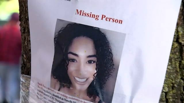'Our family is absolutely devastated': Authorities search home of missing mother found dead in wood смотреть онлайн