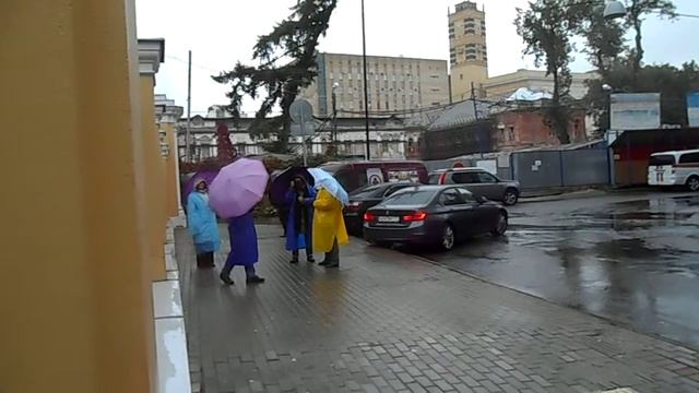 Люди 5 месяцев стояли возле ворот музея - ждали открытия смотреть онлайн
