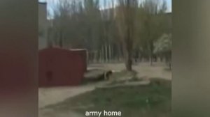 прикольные подборки смех до слёз.