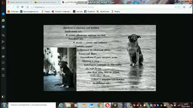 Топ 5 самых грустных стихов про собак смотреть онлайн
