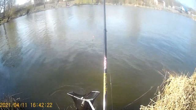 Рибалка на поплавок,в волинь, карп супер клев смотреть онлайн