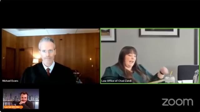 Wild Custody Hearing Goes Poorly For The Unrepresented! (Plus Crying Karen And More) смотреть онлайн