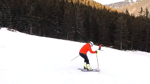 SKI TEST HEAD E SL RD FIS 2022 MASTERCLASS CARVING TURNS смотреть онлайн