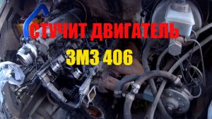 Разбор двигателя змз 406 в поисках стука.