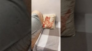 Обзор сушильной машинки Сушильная машина DEXP DM-F8CDMA/WB белый. Первое использование.