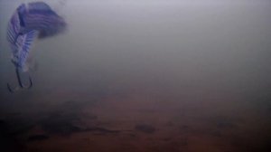 Окунь щемит РОБОТА. Электронная рыбка приманка - отличный робот живец на хищника. Подводная съемка