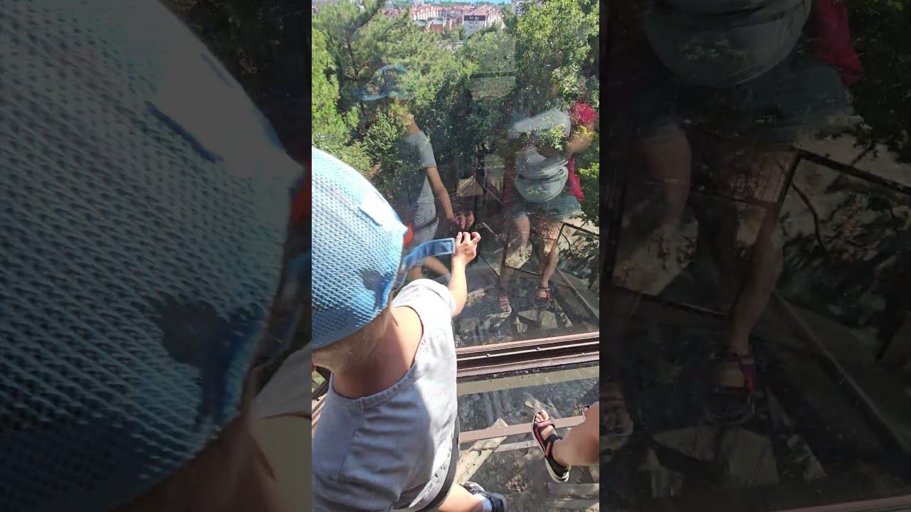 #животные #смешные #геленджик