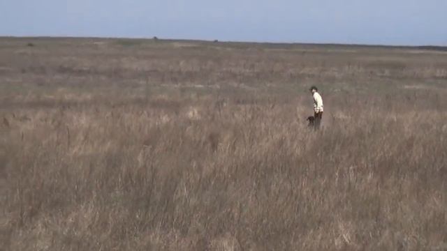 697 Курцхаар Франц смотреть онлайн