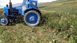 Трактор Т-40 косит траву,сегментной косилкой на крутом склоне !!!