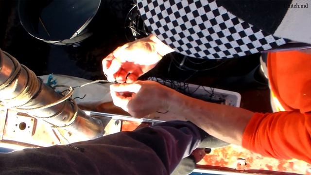 Как испанцы ловят огромных тунцов без удочки? смотреть онлайн