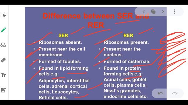 Cell - Basic Unit Of Life/Part-3/Chapter-5/9 Class Science/Endoplasmic Reticulum/NCERT