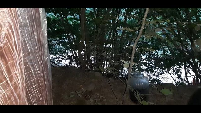 Горный дагестанский мед смотреть онлайн