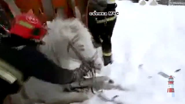 Лошадь в колодце смотреть онлайн