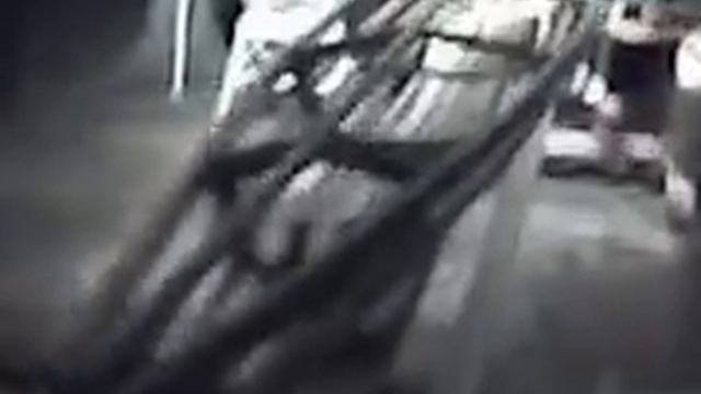 Sea Bee Video смотреть онлайн