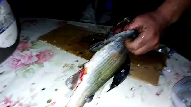 Трофейный хариус с Катуни. Поймали на коричневую веснянку. смотреть онлайн