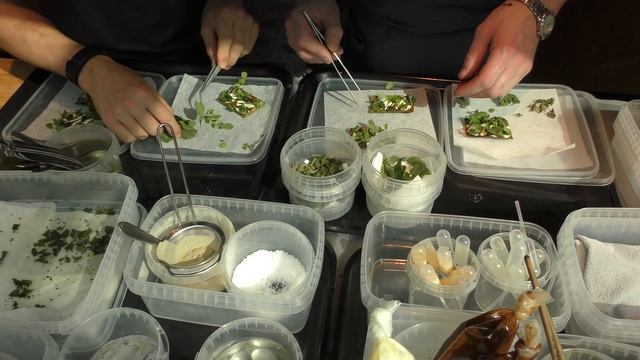 Busy Kitchen Service at restaurant Noma in Copenhagen, Denmark смотреть онлайн