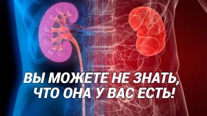 ХРОНИЧЕСКАЯ БОЛЕЗНЬ ПОЧЕК: что делать?