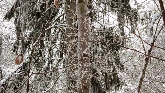 Старый город / Обнинск 12.12.2021 смотреть онлайн