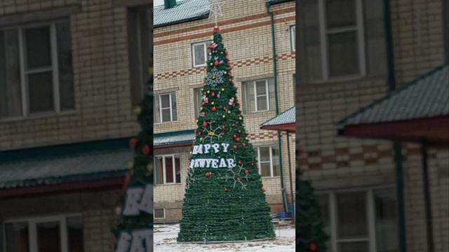 Усть-Кут, первые новогодние елочки смотреть онлайн