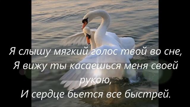 Я слышу голос твой во сне... смотреть онлайн