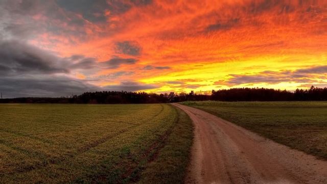 Мачеха отдала падчерицу конюху, прибрав к рукам всё наследство, а спустя время сильно удивилась смотреть онлайн