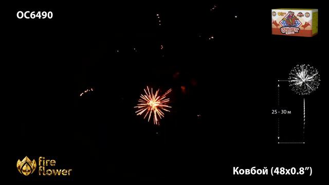 OC6490 смотреть онлайн