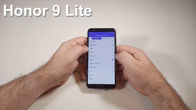 Honor 9 Lite Incoming Call смотреть онлайн