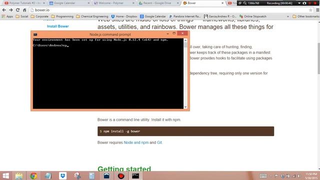 Install Bower: npm should be run outside of the node repl смотреть онлайн