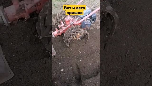 Мф Чешская косилка#мотоблок#фрезерование#дача#шортс#shortsvideo смотреть онлайн