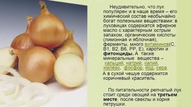 Луковая шелуха. Полезные свойства смотреть онлайн