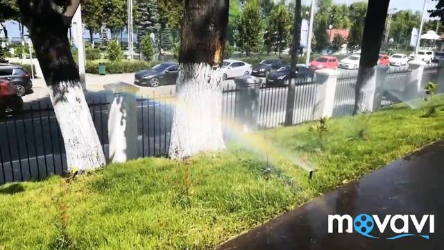 Влог. ПРОГУЛКА по Струковскому саду. САМАРА смотреть онлайн