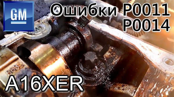 Ошибки P0011, P0014. Последствия промывки двигателя димексидом. Раскоксовка колец. Lavr - ML203..mp4