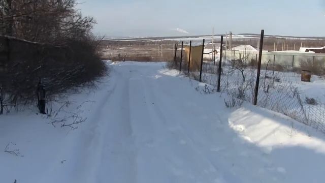 Вор с пылесосом против собаки смотреть онлайн