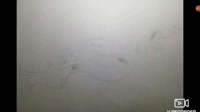 Real Animal Battle:Обк. Шакал VS Сетчатый Питон смотреть онлайн