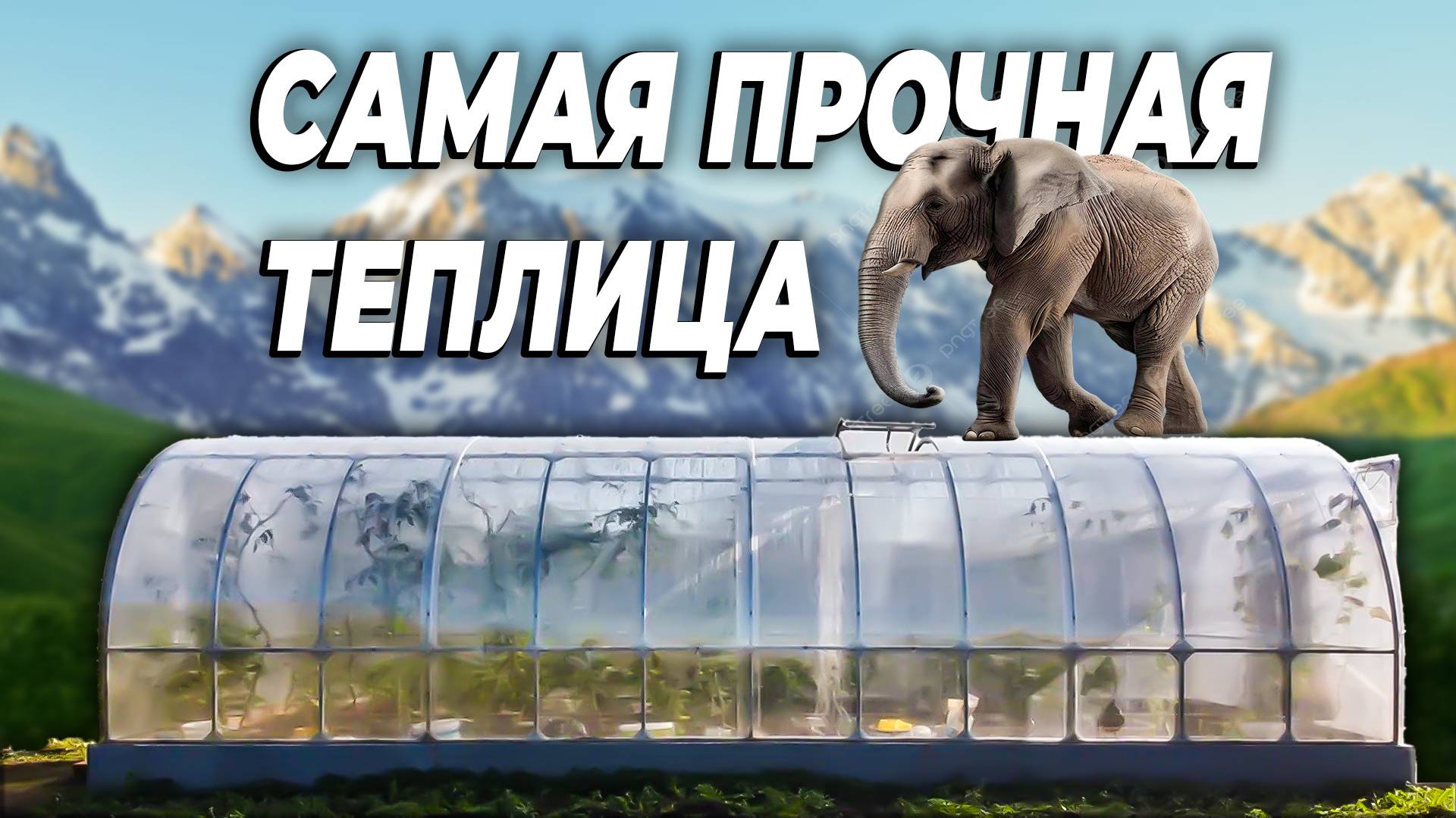 Эта теплица выдержит даже СЛОНА! смотреть онлайн
