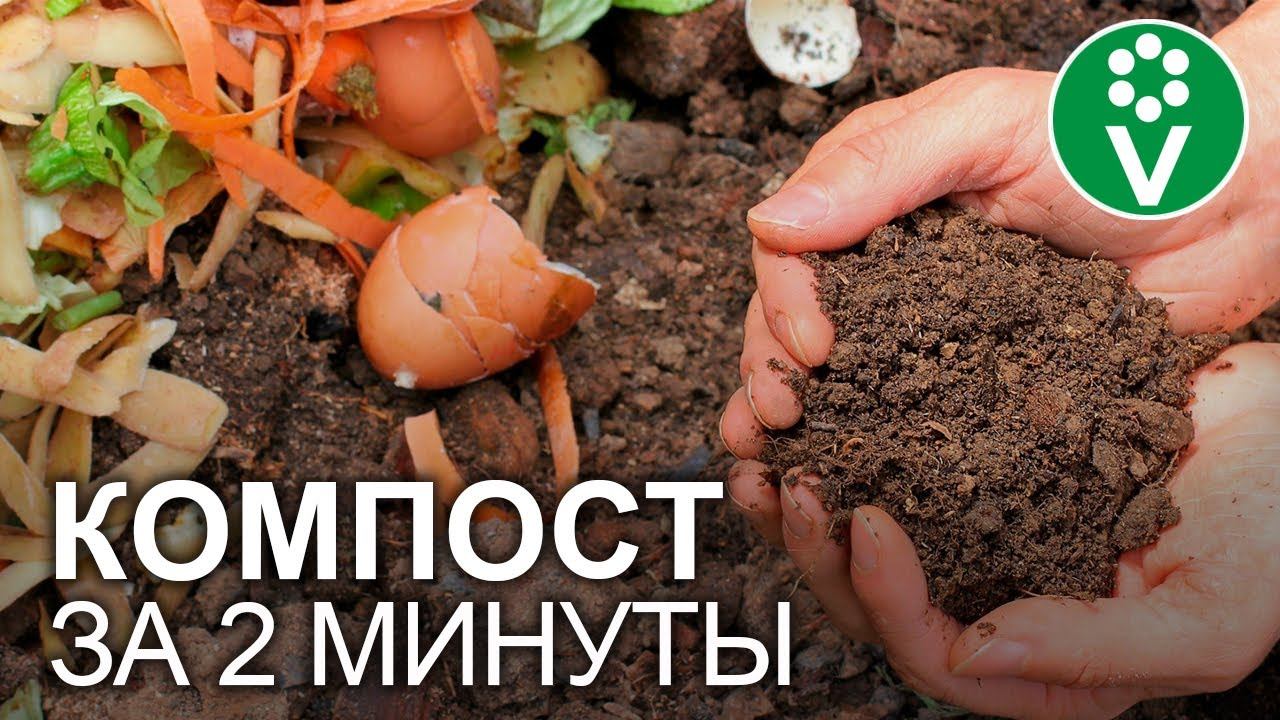 ЛЕНИВЫЙ КОМПОСТ ПРЯМО НА ГРЯДКЕ: делаем правильно! смотреть онлайн