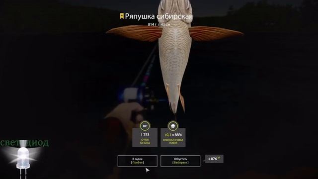 рр4,р,нижняя тунгуска троф ряпушки сибирской смотреть онлайн