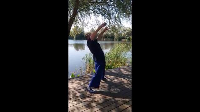 Специальные упражнения на разработку поясницы в багуа чжан смотреть онлайн