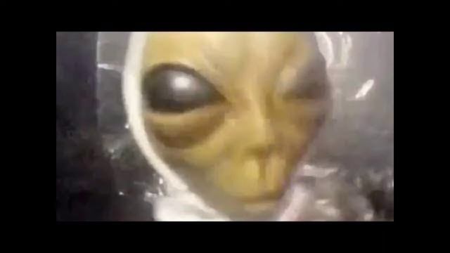 Armanem: Alien Meme Song смотреть онлайн