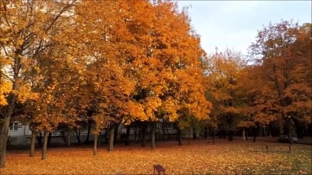ОСЕННИЙ ЛИСТОПАД. ЗОЛОТАЯ И ТЁПЛАЯ ОСЕНЬ 2018. ЗОЛОТОЕ БАБЬЕ ЛЕТО смотреть онлайн