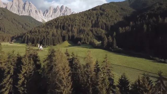 Alpenmoor - Сила природы для наших питомцев смотреть онлайн