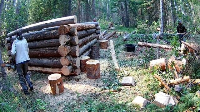 строительство избы и немного рыбалки часть 2 смотреть онлайн
