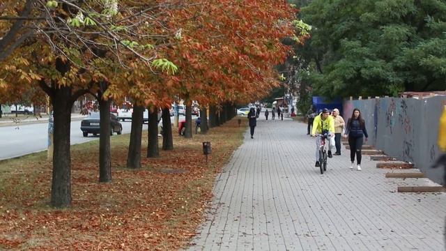 В Запорожье осенью зацвели каштаны смотреть онлайн