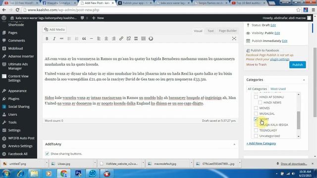 wordpress 2015 смотреть онлайн