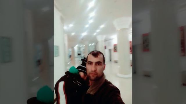 Амир темур музей смотреть онлайн