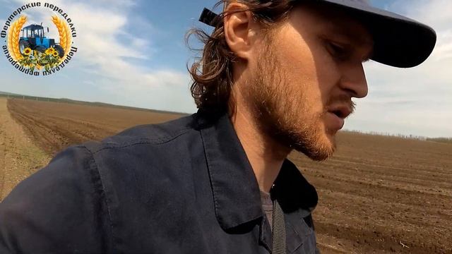 Первая культивация 2022. Подготовка к посеву подсолнечника 2022. МТЗ 82.1 с культиватором КПС 4.