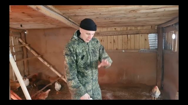 УТЕПЛЕНИЕ КУРЯТНИКА НА ЗИМУСУХАЯ ПОДСТИЛКА В КУРЯТНИКЕ - РЕАКЦИЯ