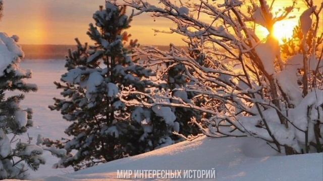 История из жизни. Девочка спасла бомжа... смотреть онлайн
